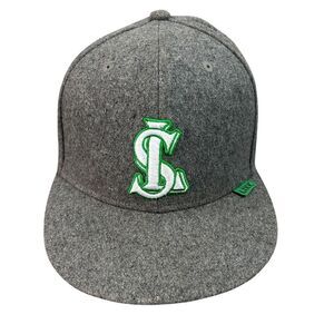 Flat Fitty Men's Line Propaganda Cap Size 7 3/8 Punk Skater Gray Green Money Hat